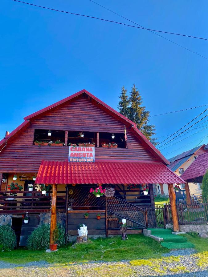 Cabana Ancuta Hotel Vartop Bagian luar foto